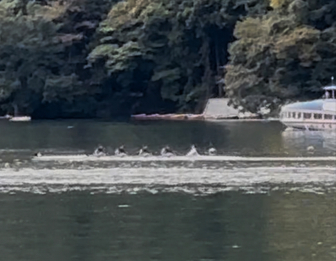 スクリーンショット 2025-11-13 084240